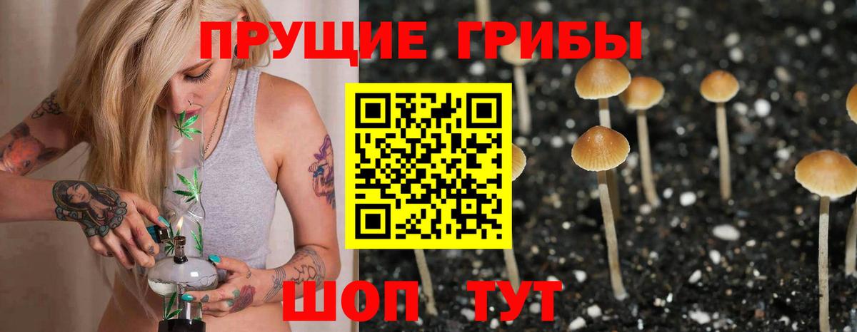 Галлюциногенные грибы Magic Shrooms Ачинск