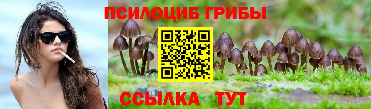 где найти   Вход с VPN  Ачинск  Псилоцибиновые грибы MAGIC MUSHROOMS 